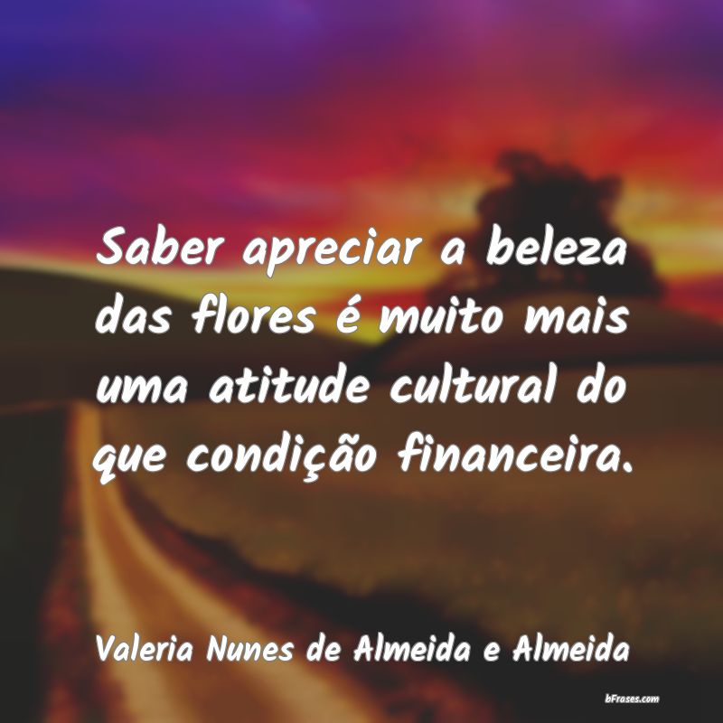 Frases de Valeria Nunes de Almeida e Almeida