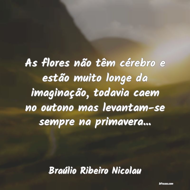Frases de Braúlio Ribeiro Nicolau