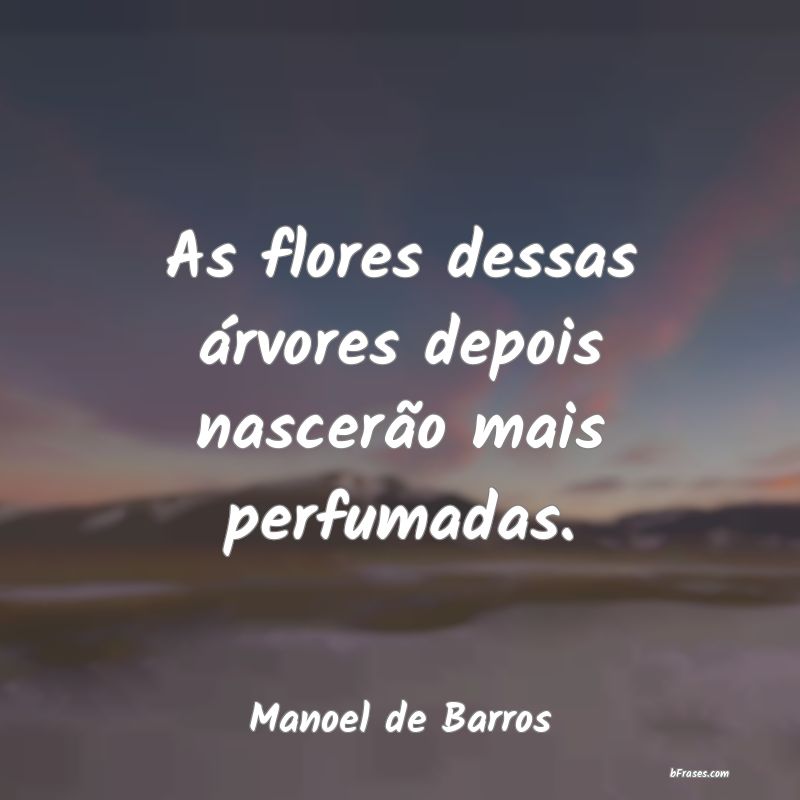 Frases de Manoel de Barros