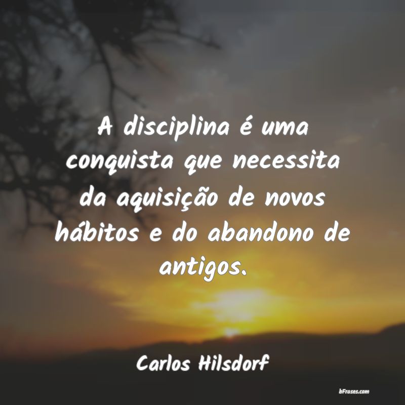 Frases de Carlos Hilsdorf