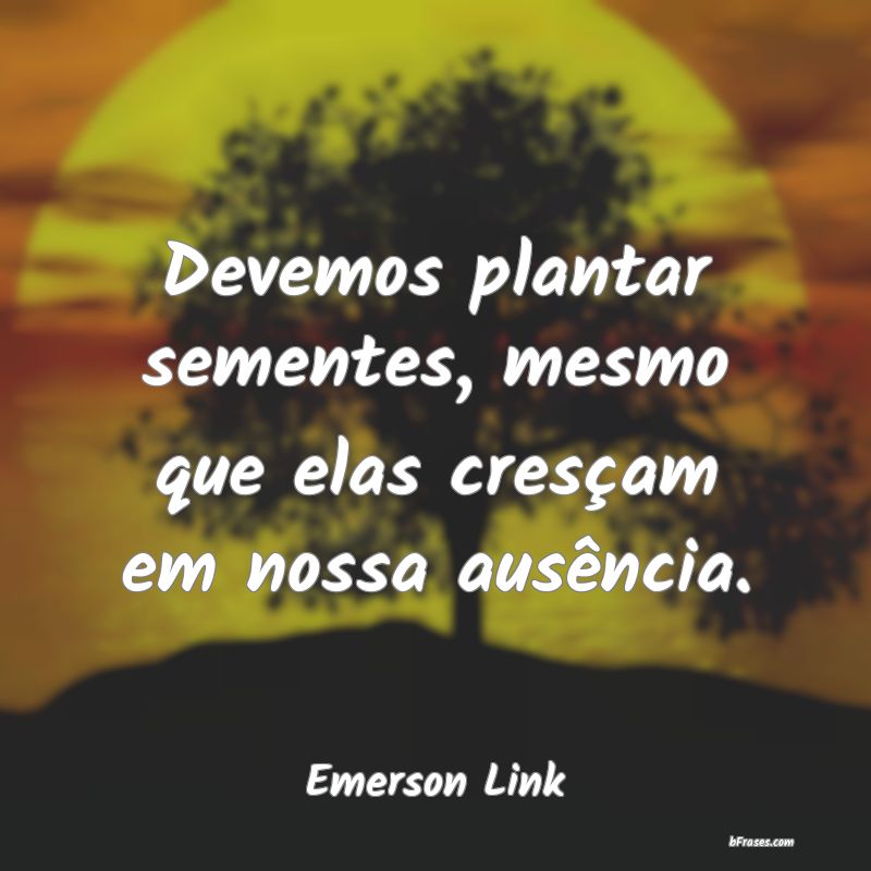 Frases de Emerson Link