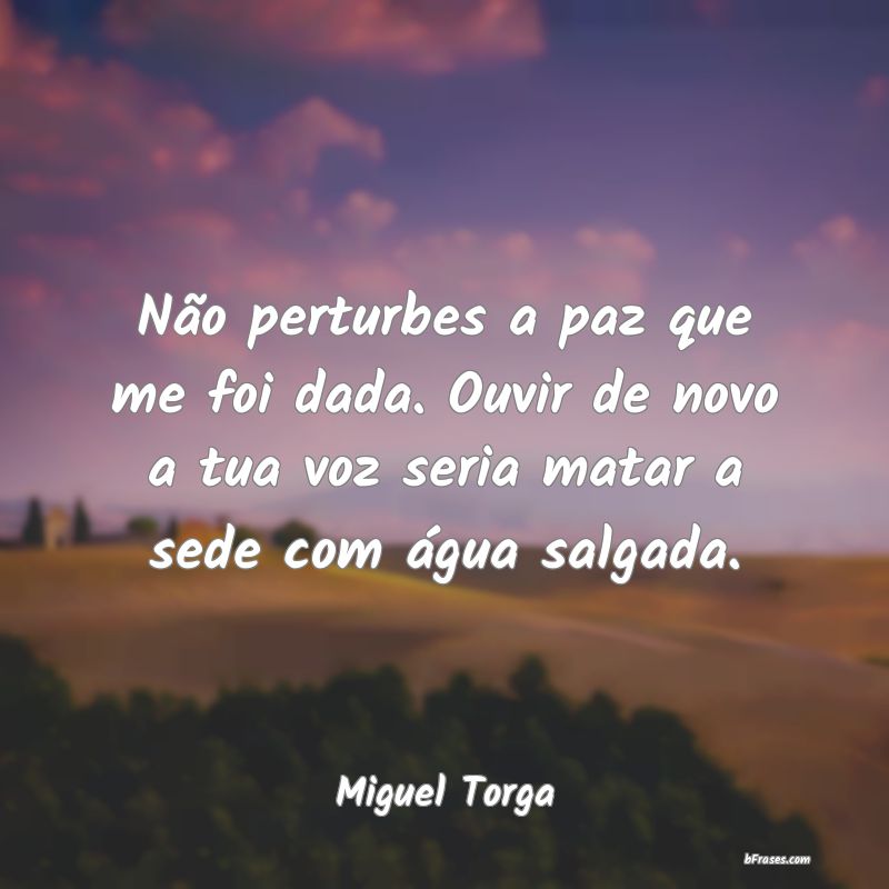 Frases de Miguel Torga