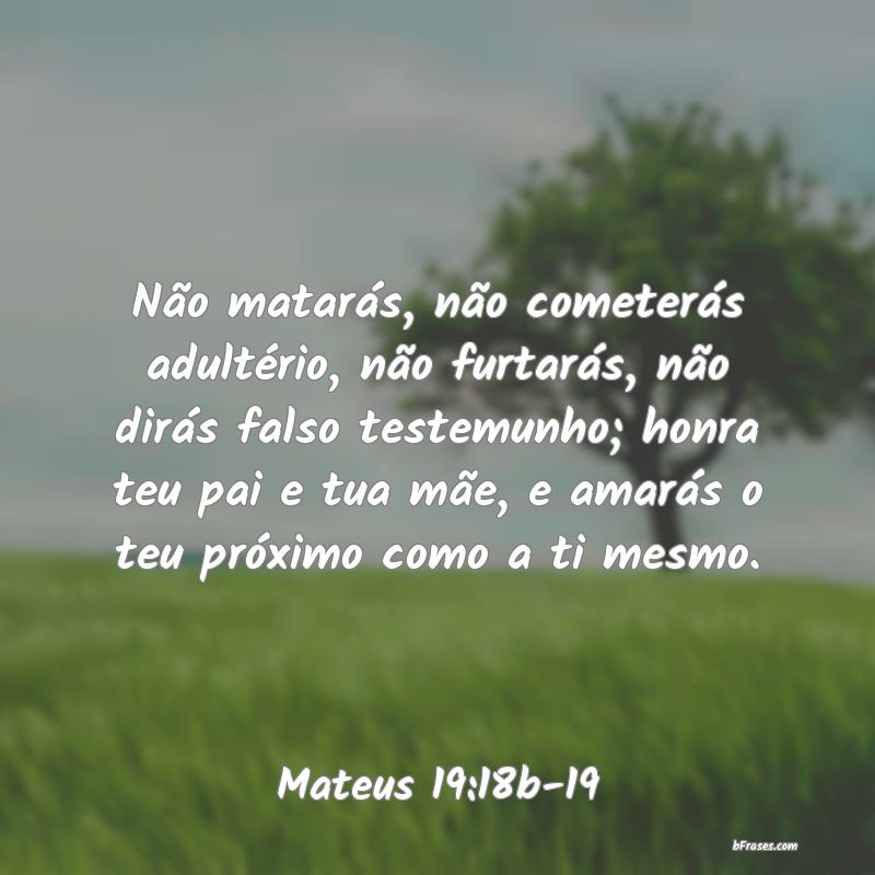 Frases de Mateus 19:18b-19