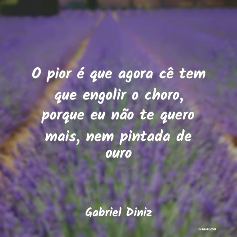Frases de Gabriel Diniz